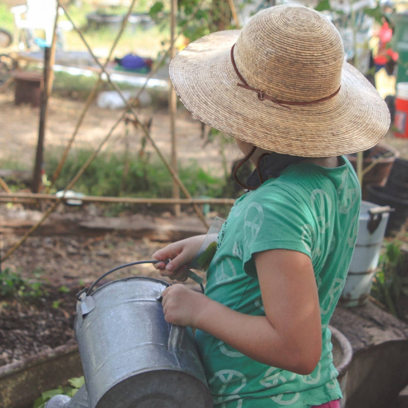 Person watering plants in a garden with a straw hat and green shirt.