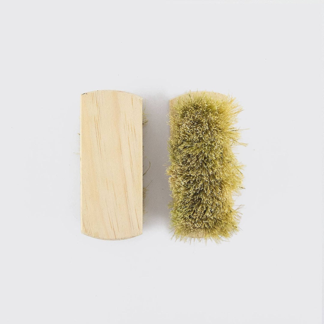 Scrub Brush