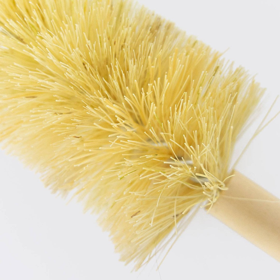 Large Scrub Brush
