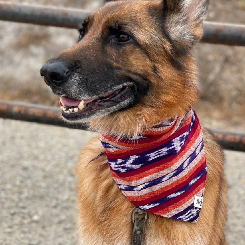 Esperanza Dog Bandana- Handwoven / Fair Trade