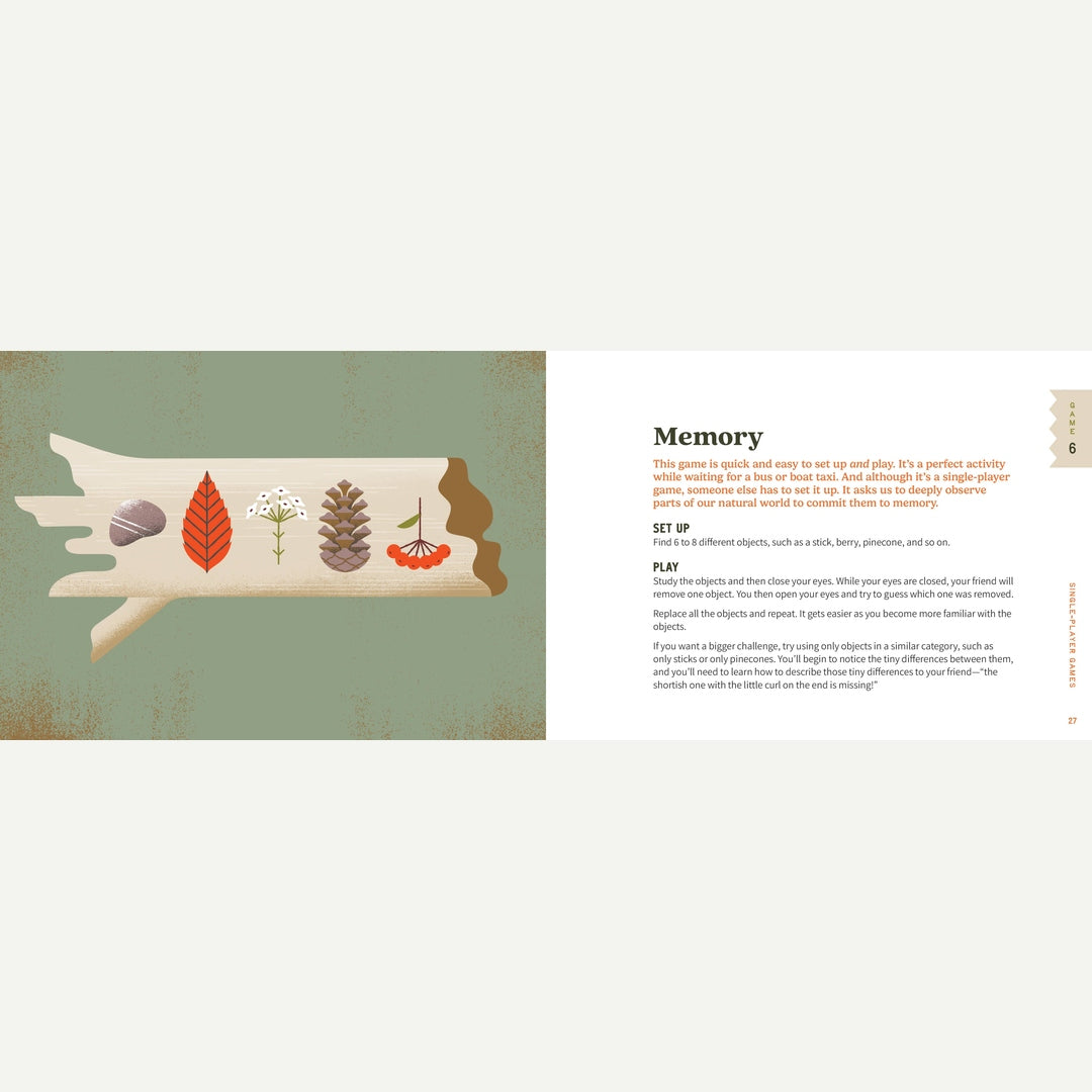 Sticks, Stones & Pinecones: Games to Play in Nature