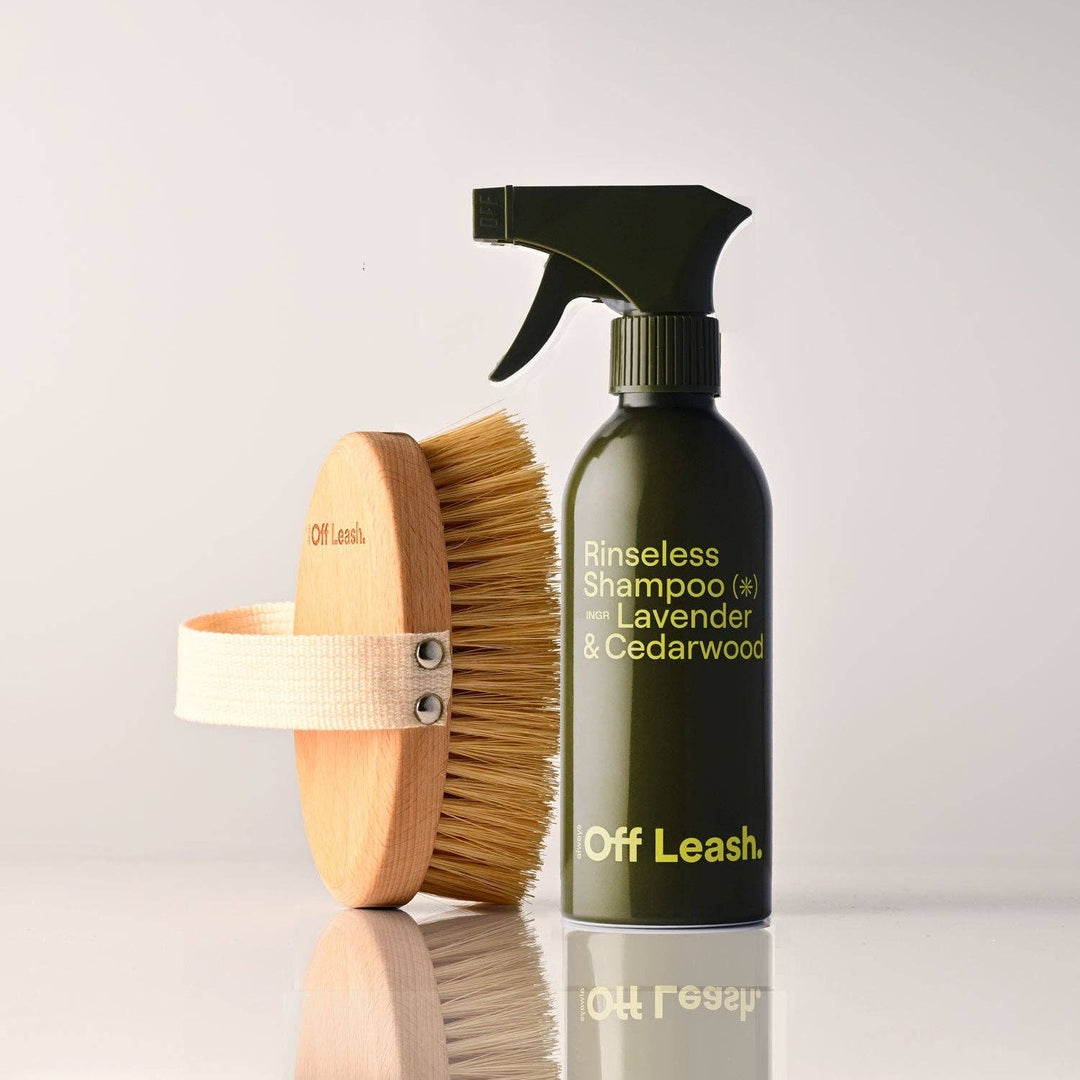 Grooming Brush No. 01