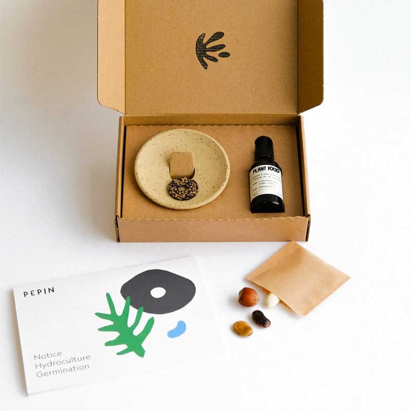 Germination & Hydroculture Gift Set - ökenhem