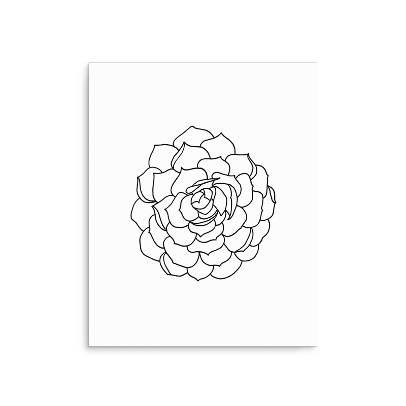 black and white succulent prints Succulent Art Print – Mojave | General Store