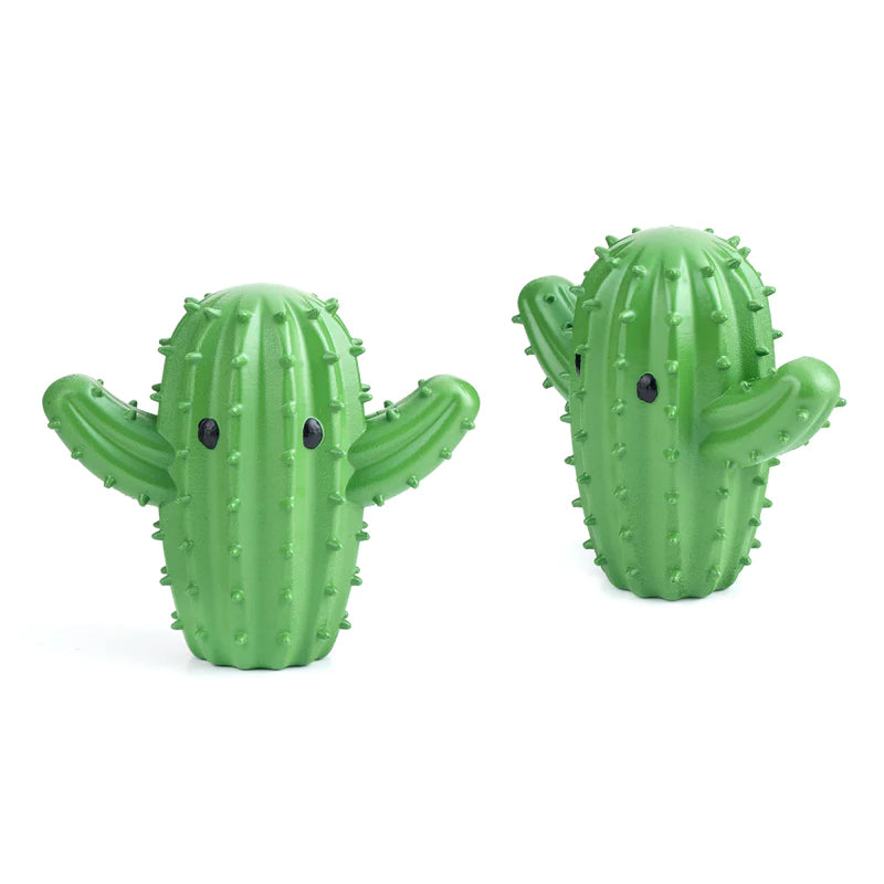 Cactus Dryer Buddies