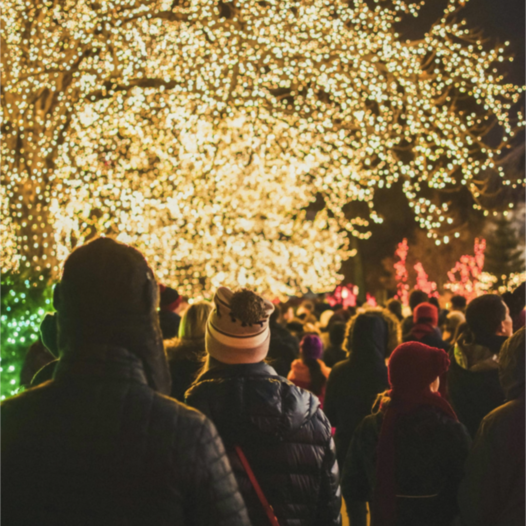 Where to see Holiday Lights in St. George, Utah