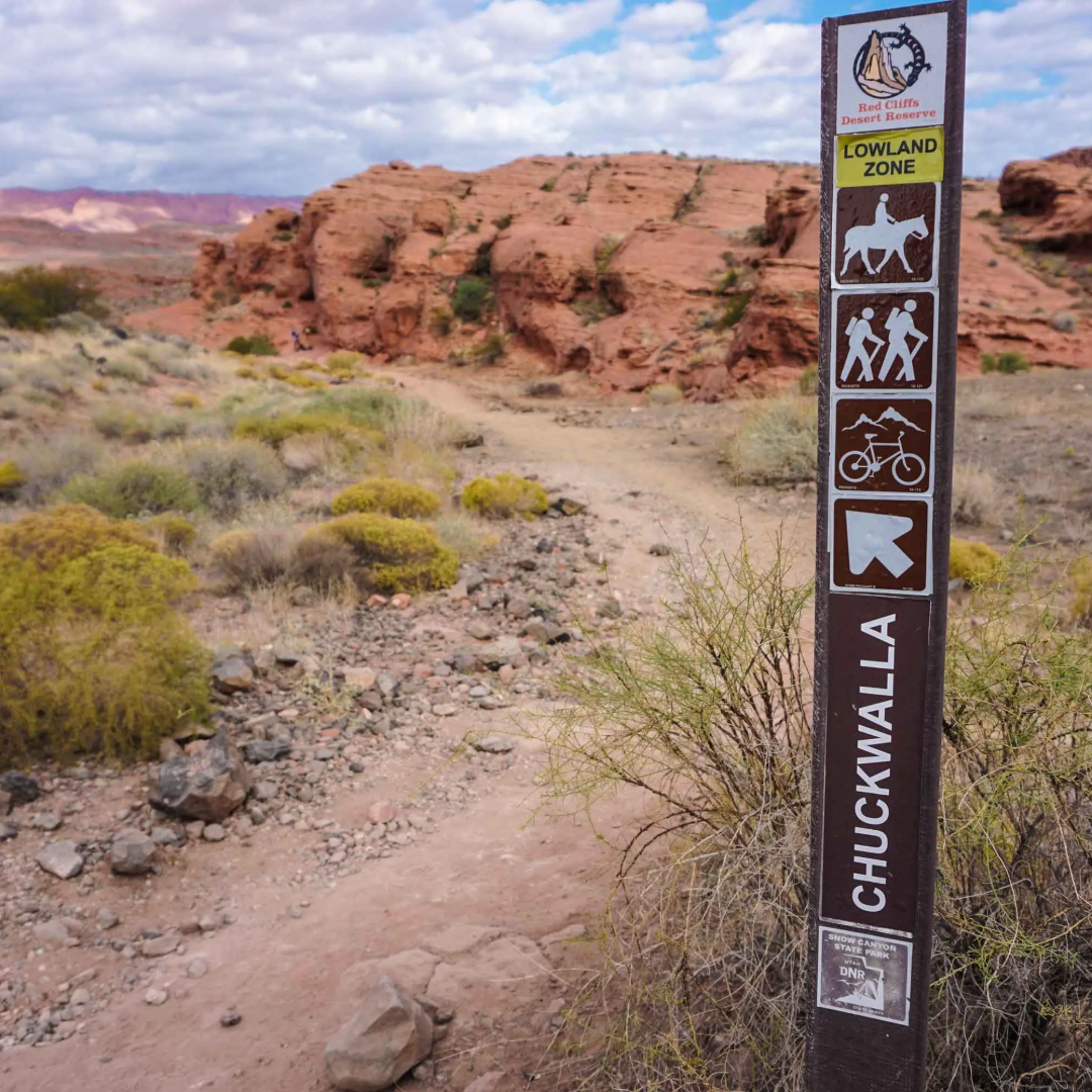 5 Easy Hikes around St. George Utah for Kids