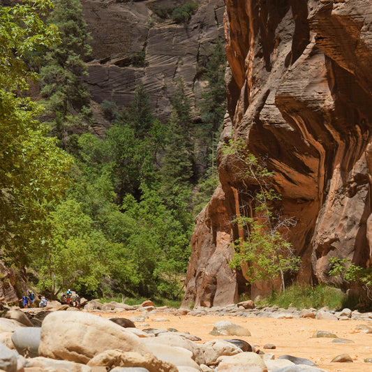 Monsoon Season in the Southern Utah: How to Stay Safe