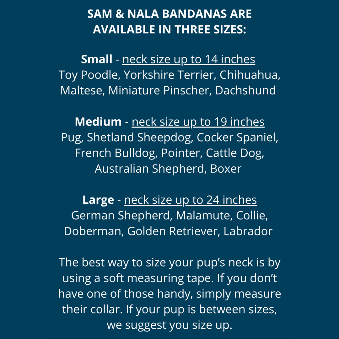 Summer Hat Dog  Bandana Dog- Fair Trade + artisan made