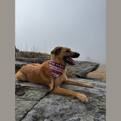 Esperanza Dog Bandana- Handwoven / Fair Trade