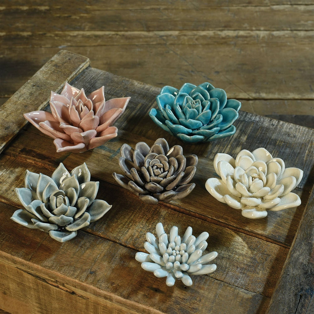 Ceramic Succulent - Cream