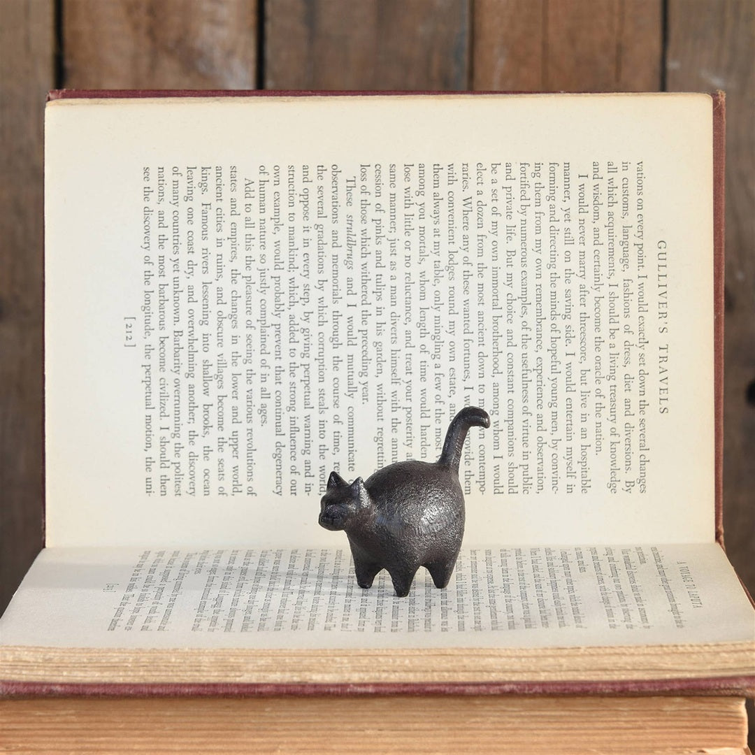 Botero Cast Iron Cat