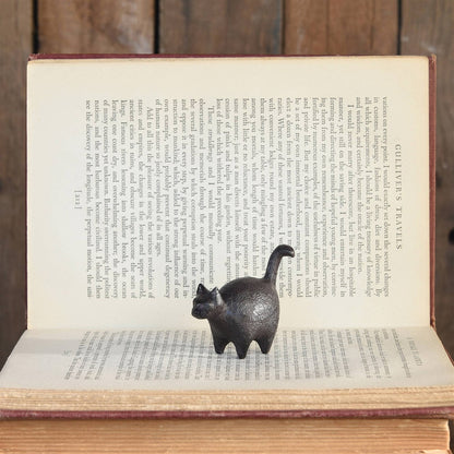 Botero Cast Iron Cat
