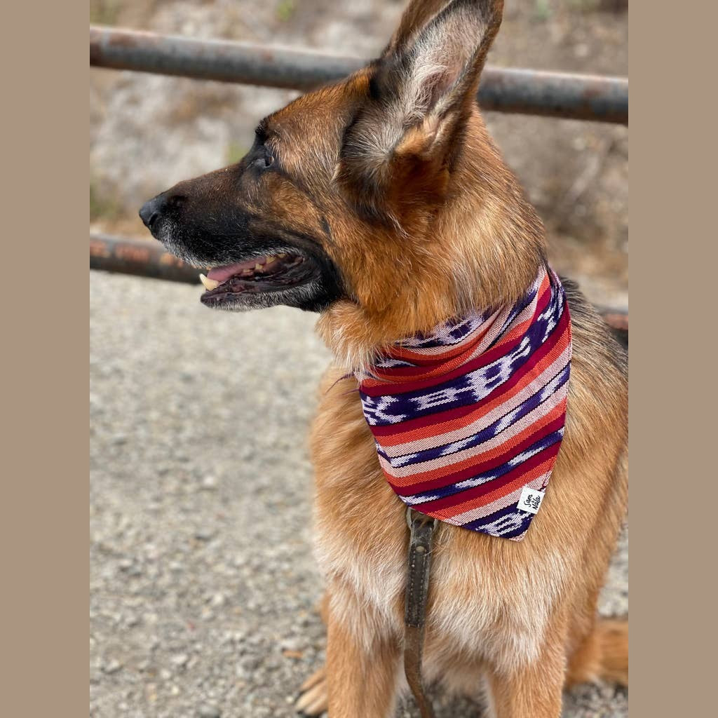Esperanza Dog Bandana- Handwoven / Fair Trade