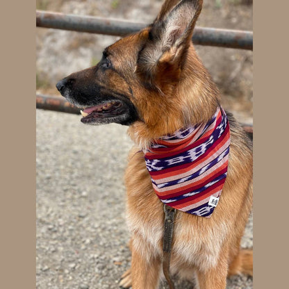 Esperanza Dog Bandana- Handwoven / Fair Trade