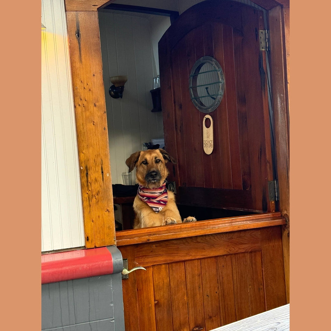 Esperanza Dog Bandana- Handwoven / Fair Trade