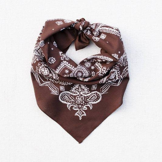 Brown Sketched Paisley Bandana
