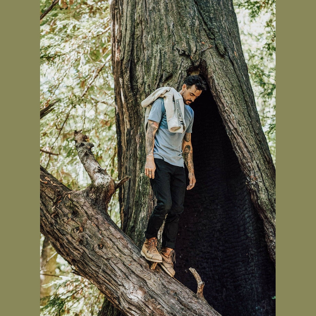 Rambler Pant Coal