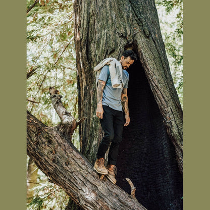 Rambler Pant Coal