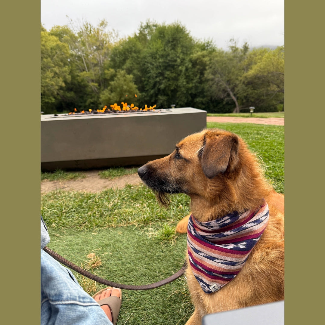 Esperanza Dog Bandana- Handwoven / Fair Trade