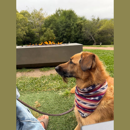 Esperanza Dog Bandana- Handwoven / Fair Trade