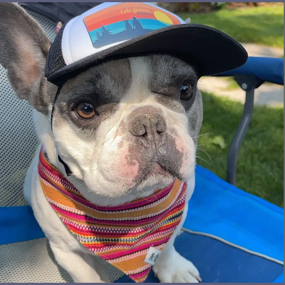 Summer Hat Dog  Bandana Dog- Fair Trade + artisan made