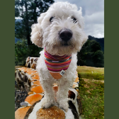 Summer Hat Dog  Bandana Dog- Fair Trade + artisan made