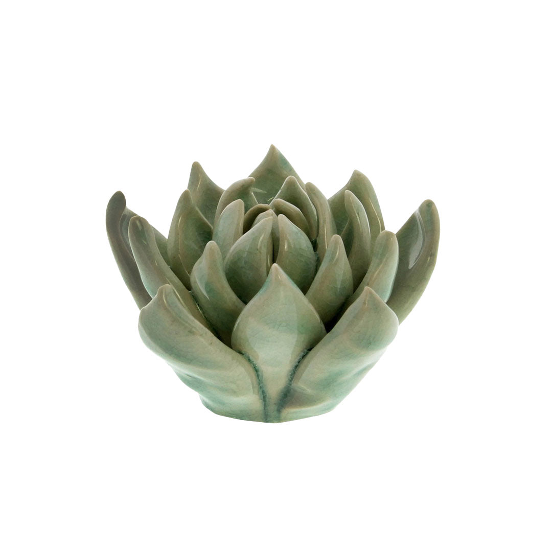 Ceramic Succulent