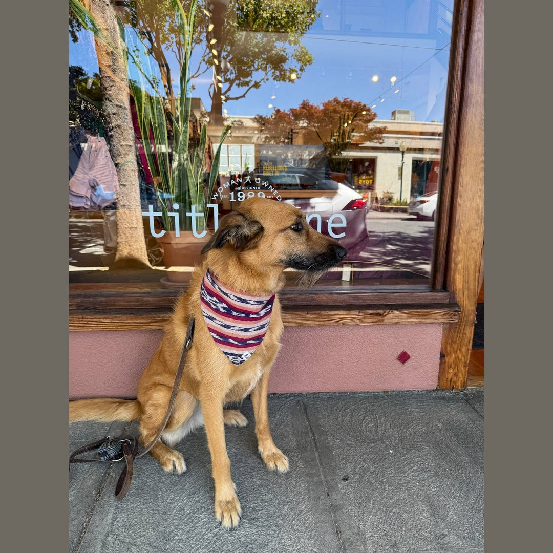 Esperanza Dog Bandana- Handwoven / Fair Trade