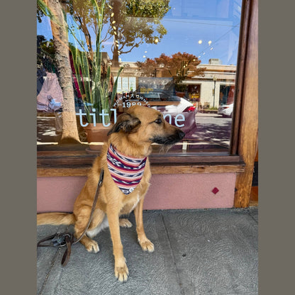 Esperanza Dog Bandana- Handwoven / Fair Trade
