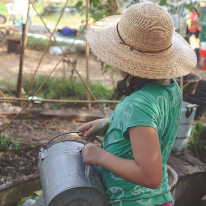 Person watering plants in a garden with a straw hat and green shirt.