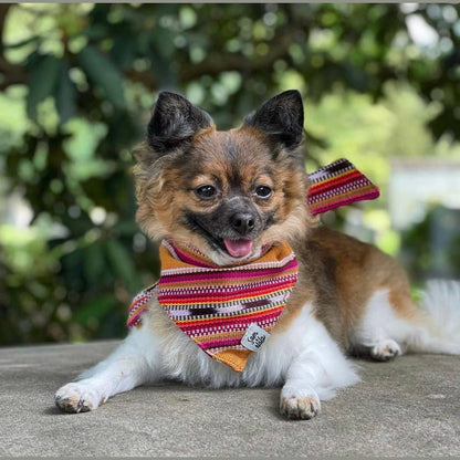 Summer Hat Dog  Bandana Dog- Fair Trade + artisan made