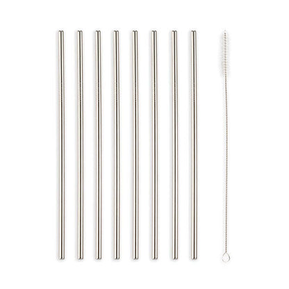 Stainless Steel Straws S/10