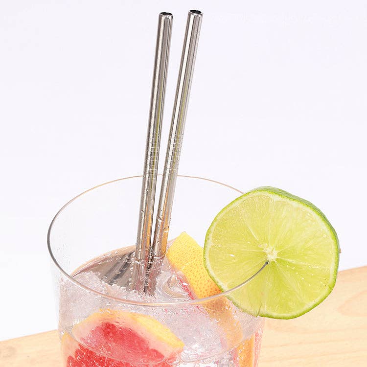 Stainless Steel Straws S/10