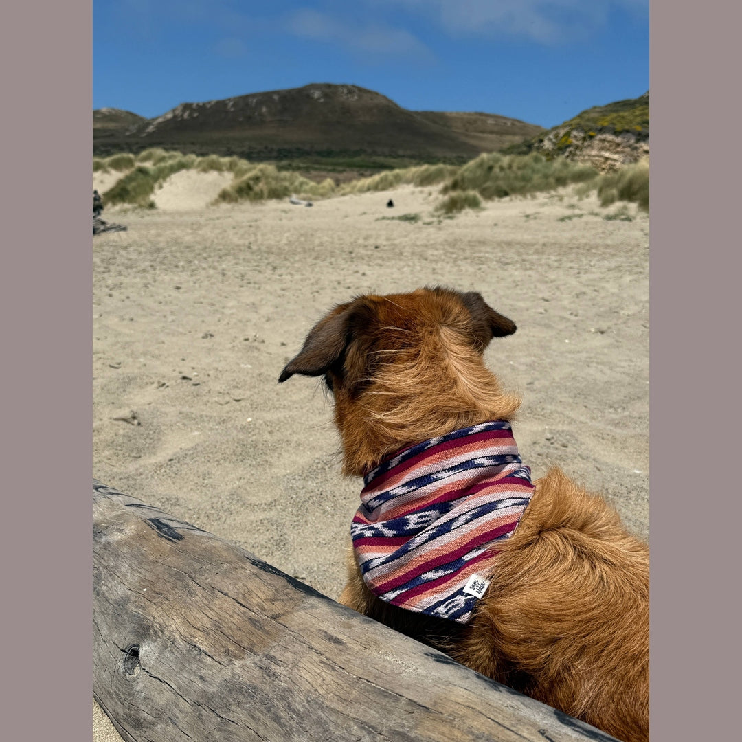 Esperanza Dog Bandana- Handwoven / Fair Trade
