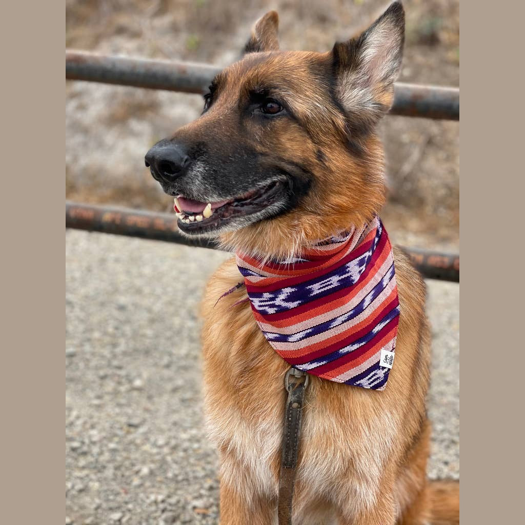 Esperanza Dog Bandana- Handwoven / Fair Trade
