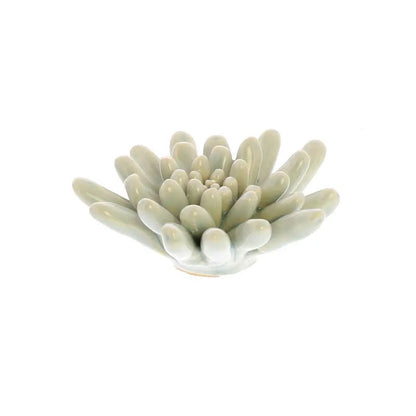 Ceramic Succulent