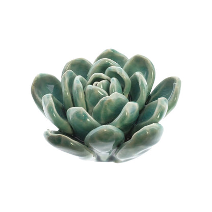 Ceramic Succulent
