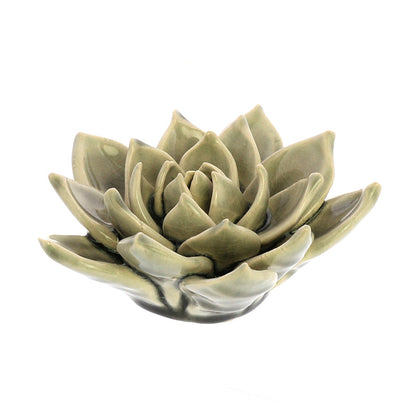 Ceramic Succulent