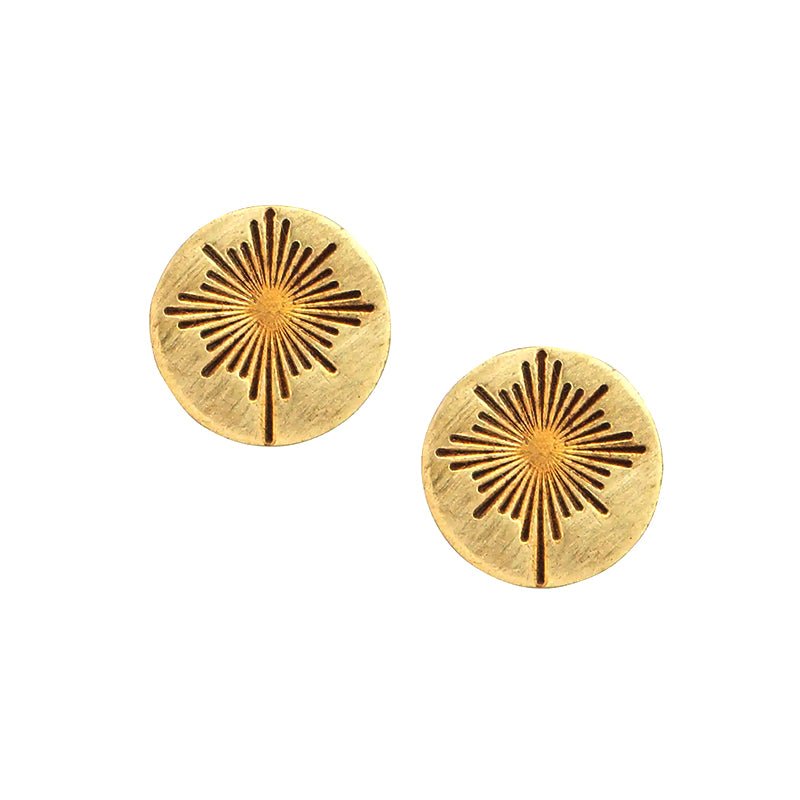 Guiding Star Earrings - Field Study