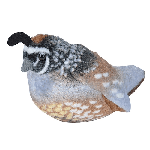 Quail Stuffed Animal