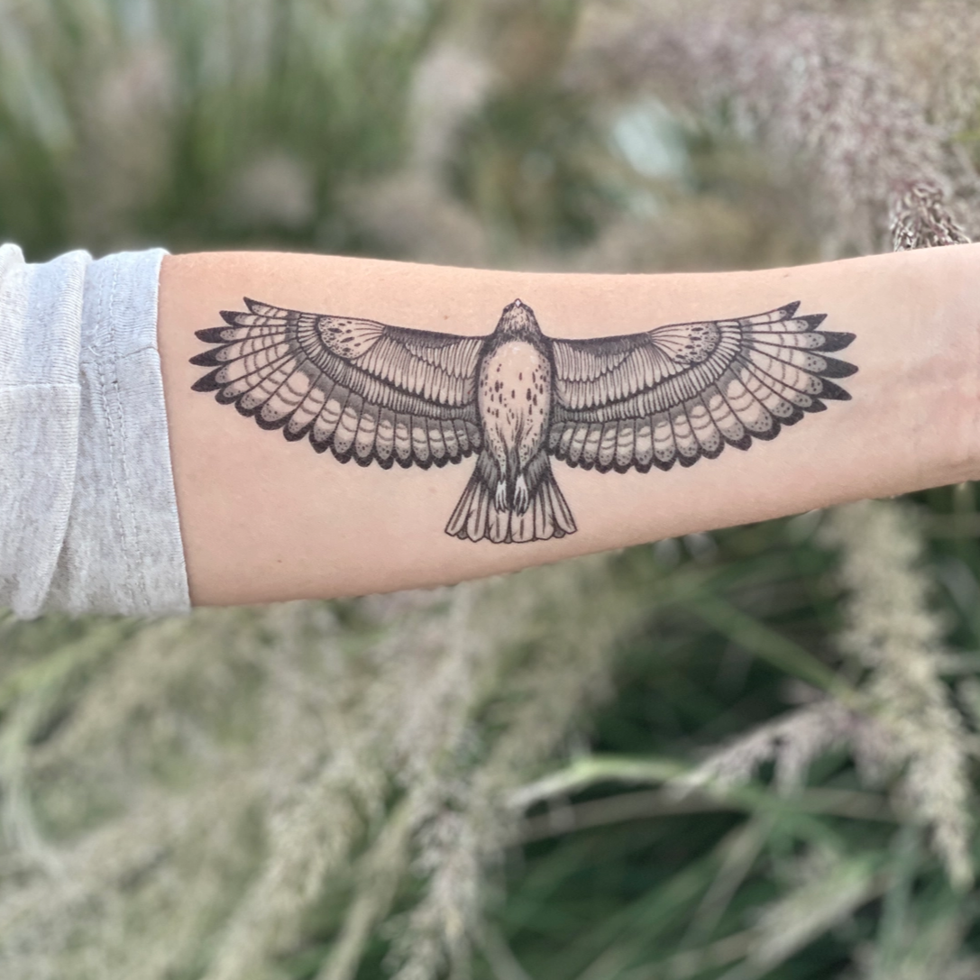 Hawk Temporary Tattoo