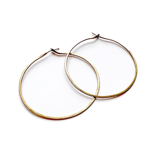 Simple Hoop Earrings - Field Study