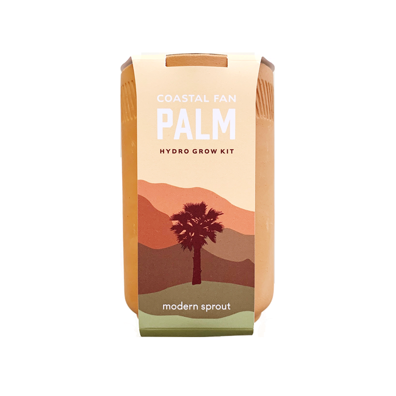 coastal fan palm plant Coastal Fan Palm Grow Kit