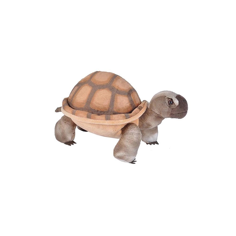 Desert Tortoise Stuffed Animal